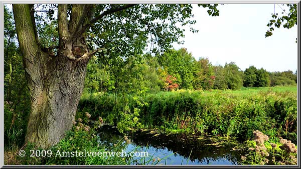 Groene As  Amstelveen