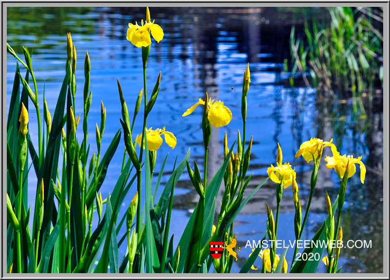 Foto Amstelveen