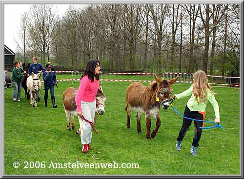 Ezeldag  Amstelveen