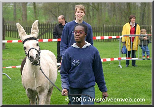 Elsenhove Amstelveen