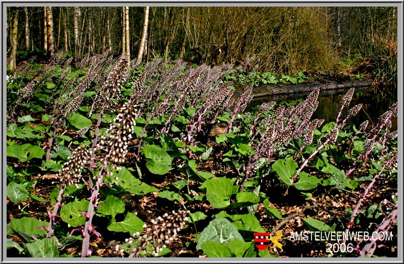 Landwehrpark Amstelveen