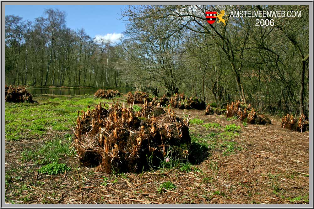 Landwehrpark Amstelveen