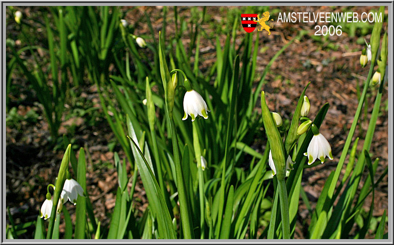 Landwehrpark Amstelveen