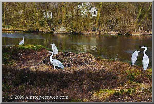 Thijssepark Amstelveen