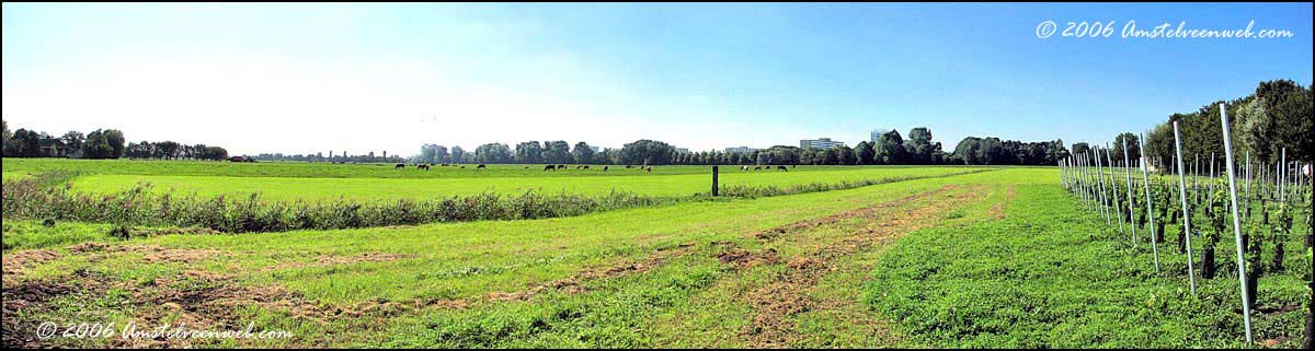 Bovenkerkerpolder  Amstelveen