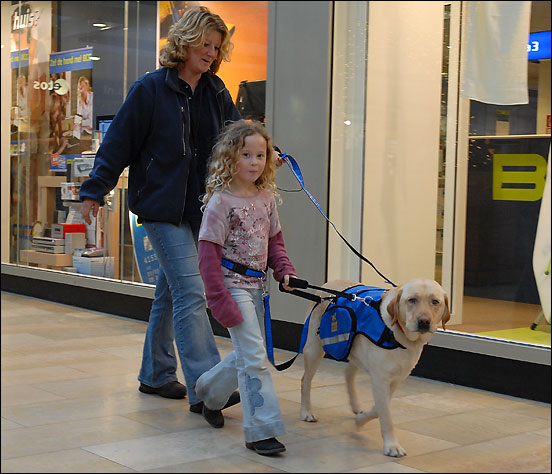 Autismegeleidehond Amstelveen