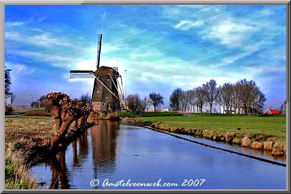 De zwaan Amstelveen