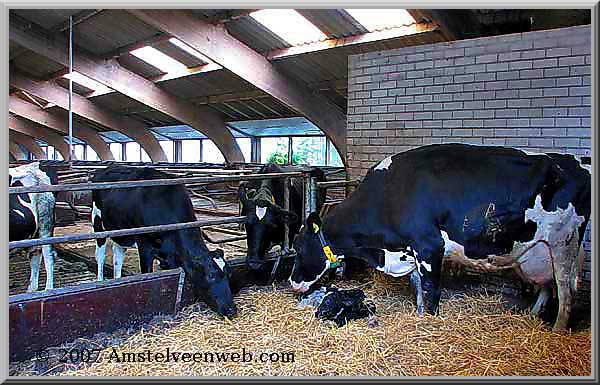 Boerderij Amstelveen