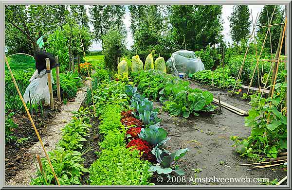 Nesserlaan tuinen  Amstelveen