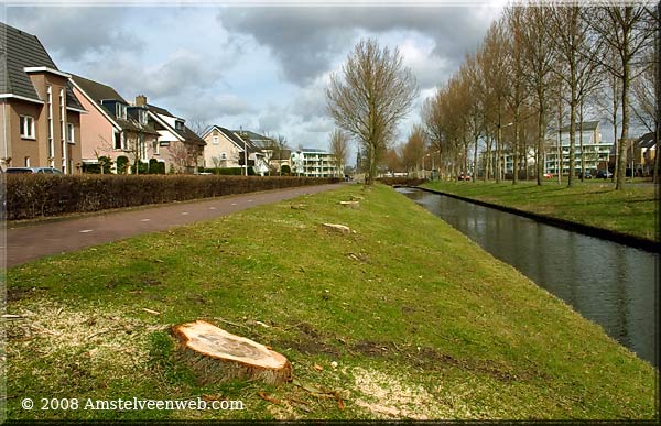 Bomenkap Amstelveenweb