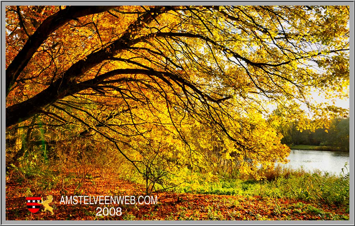 Foto Amstelveen