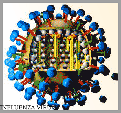 influenza  Amstelveen