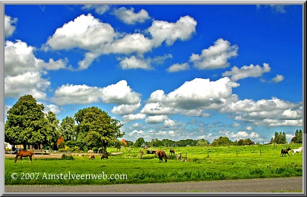 polder  Amstelveen