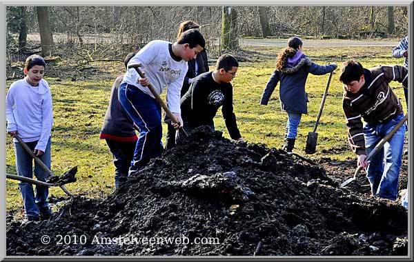 Boomplant Amstelveen