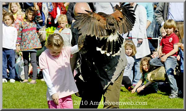 Elsenhove roofvogel Amstelveen