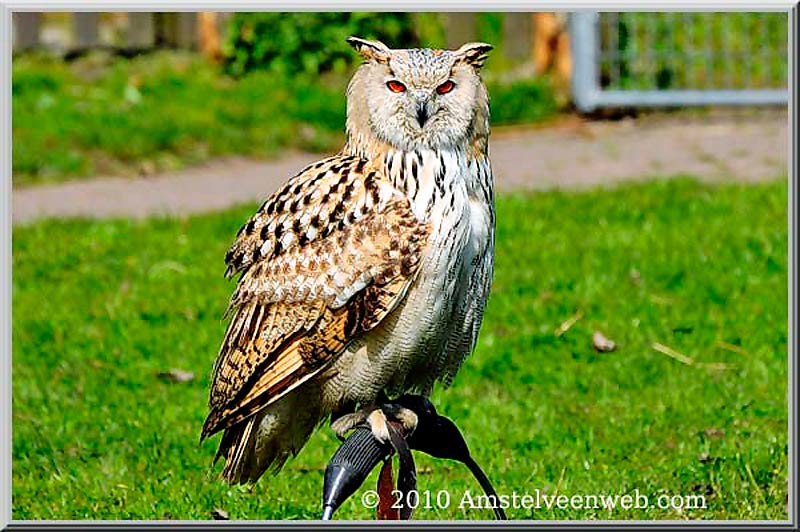 Foto Amstelveen