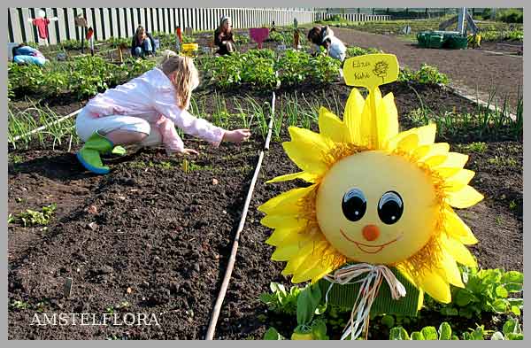 Schooltuin Amstelveen