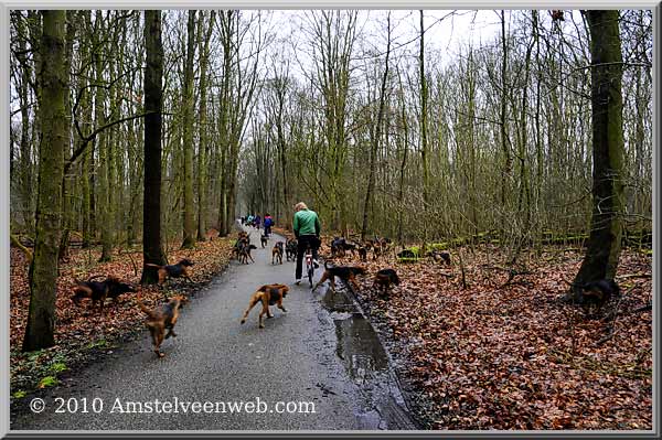 Foto Amstelveen