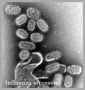 influenza Amstelveen