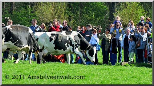 Boerderij  Amstelveen