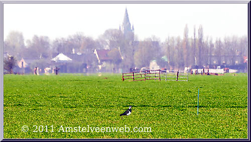 Boerderij  Amstelveen