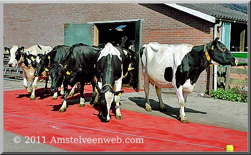 Boerderij  Amstelveen