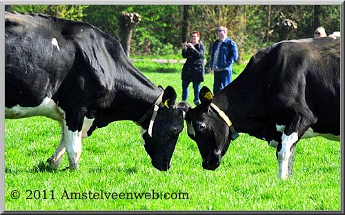 Boerderij  Amstelveen