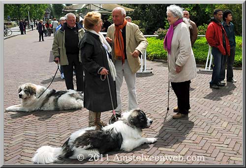 Park  Amstelveen