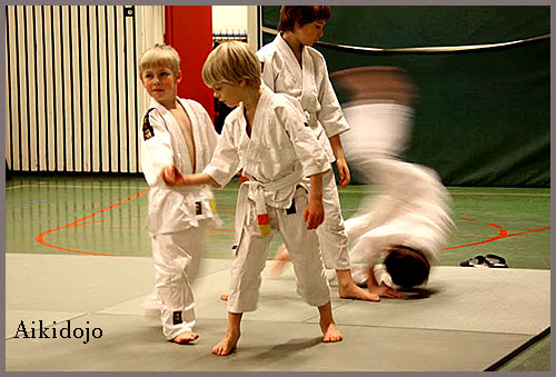 aikido Amstelveen