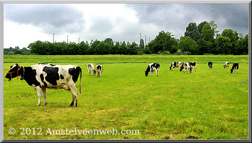 amstellanddag Amstelveen