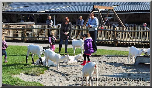 geitenboerderij Amstelveen