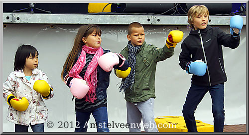 japan festival Amstelveen