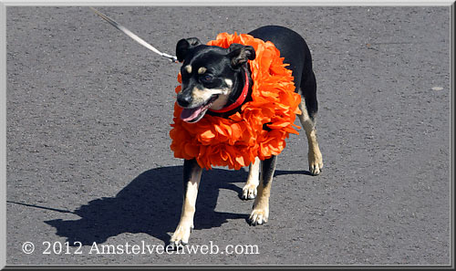 kdag Amstelveen