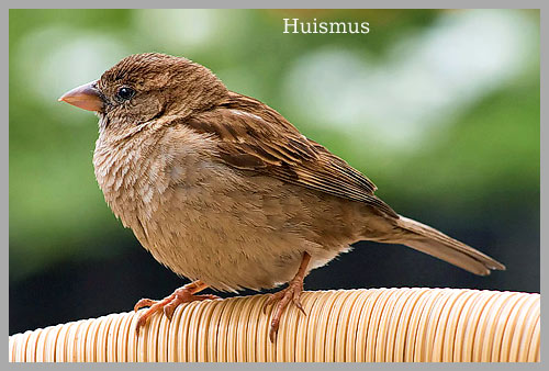 Foto Amstelveen