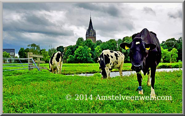 Foto Amstelveen