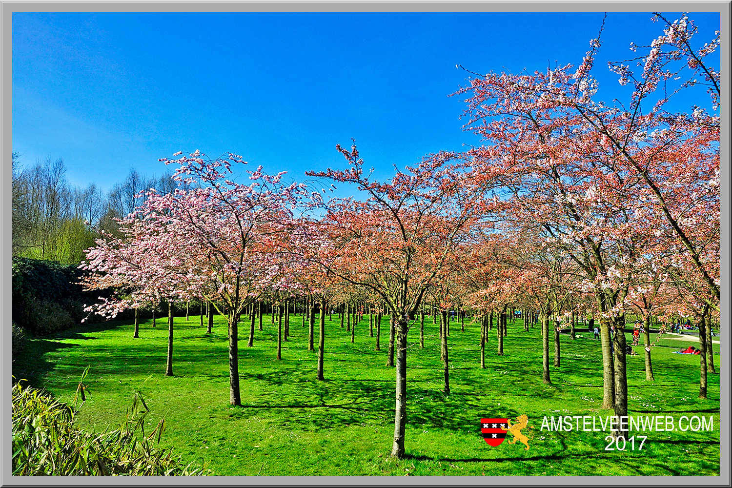 Foto Amstelveen