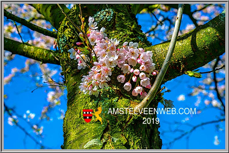 Foto Amstelveen