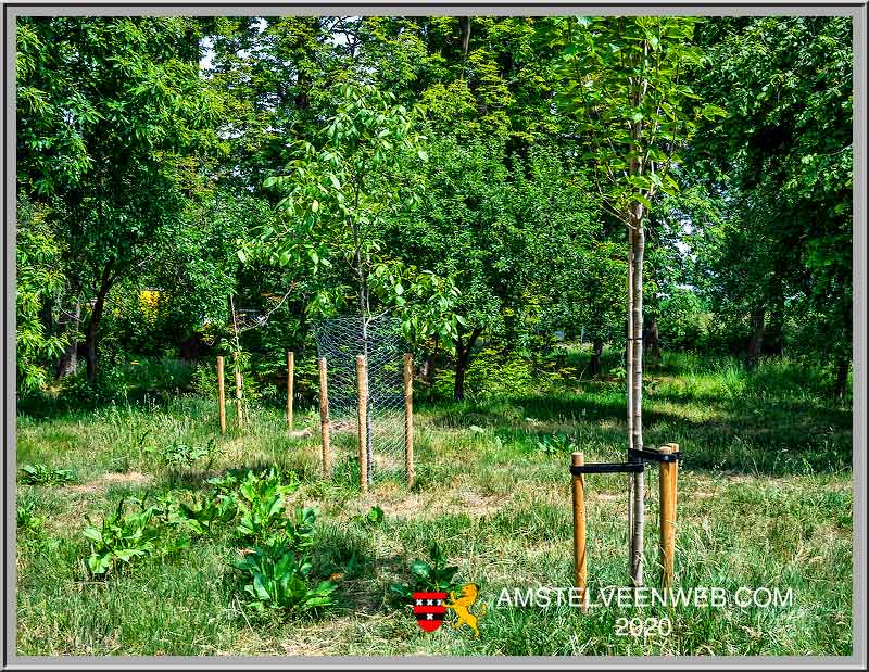 Foto Amstelveen