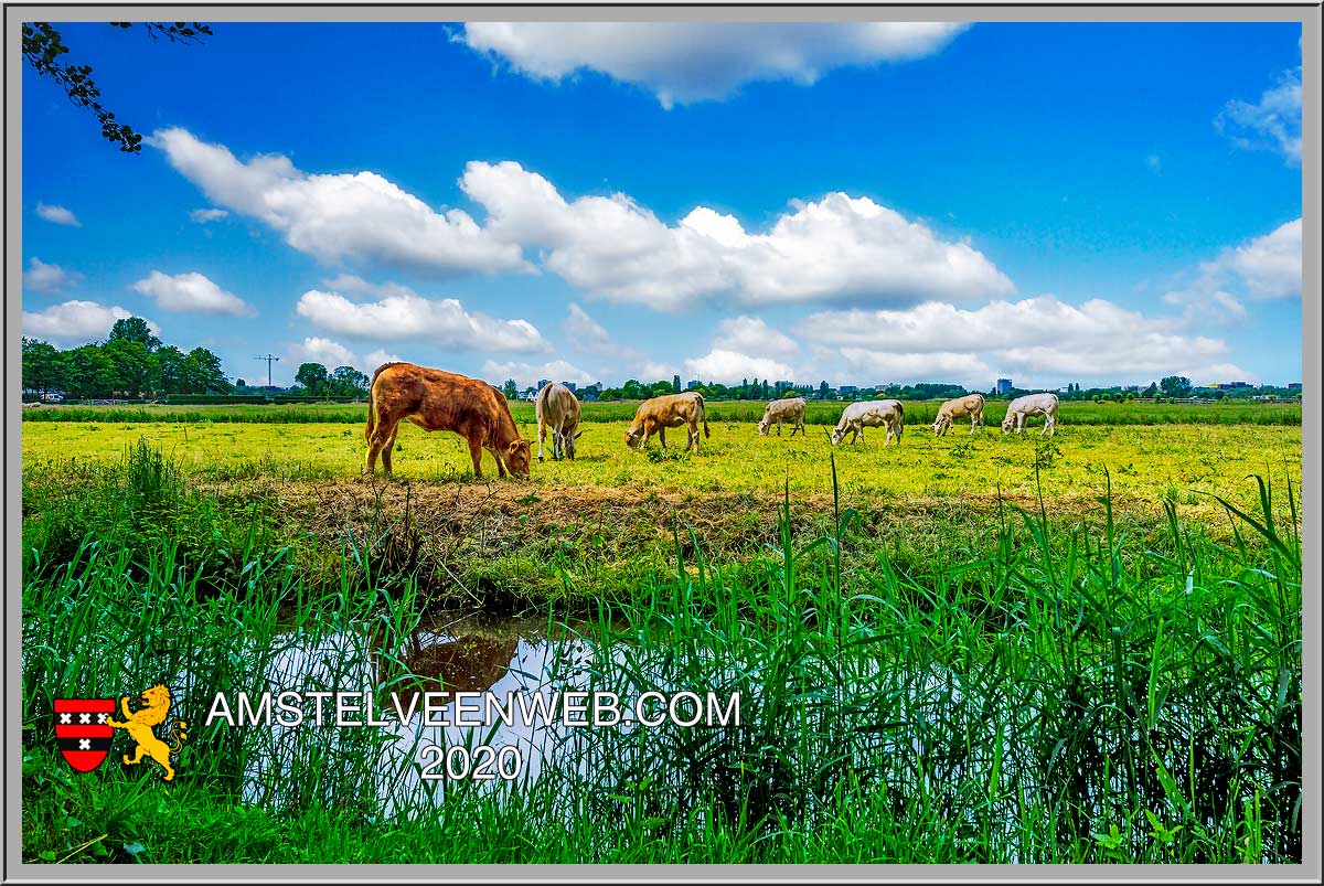 Foto Amstelveen