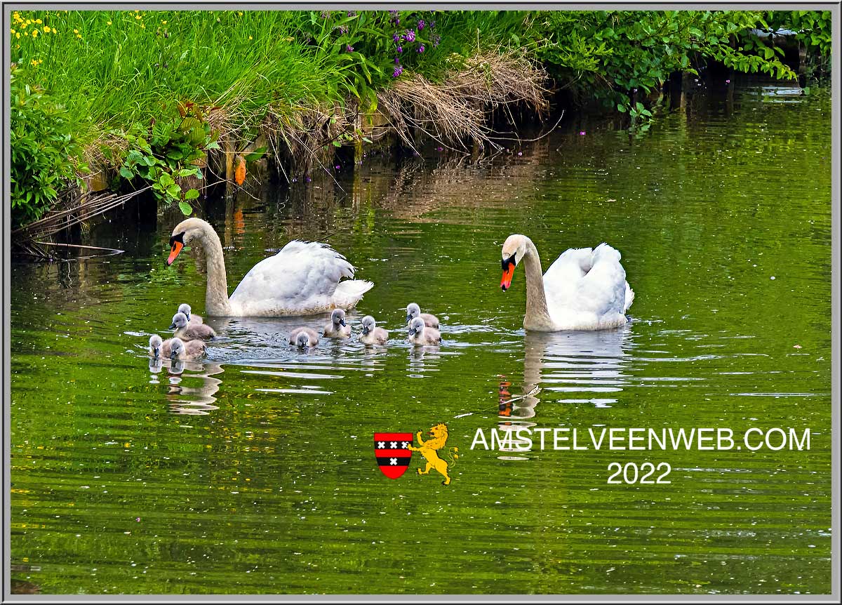 Foto Amstelveen