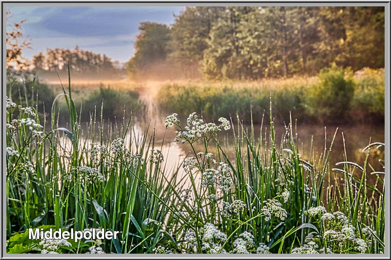 Foto Amstelveen