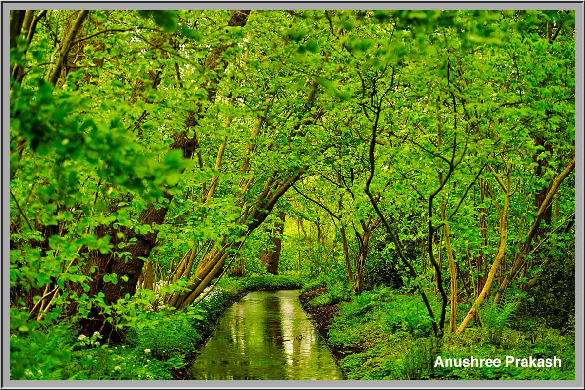 Foto Amstelveen